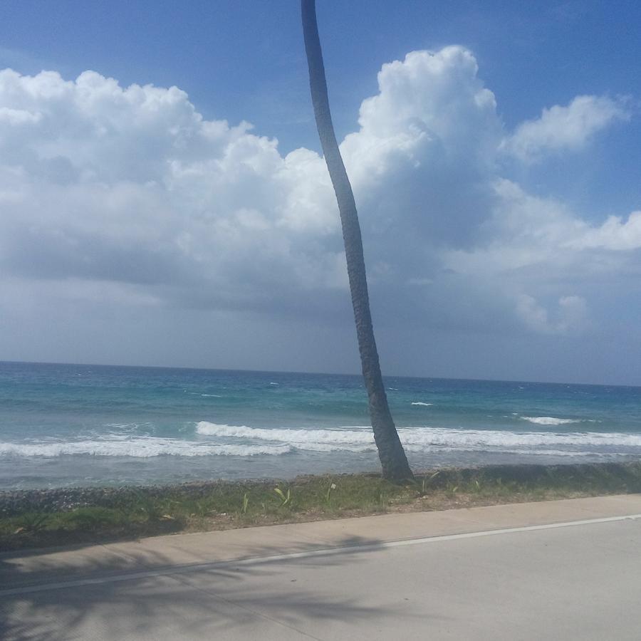 Apartahotel Miramar San Andres  Room photo